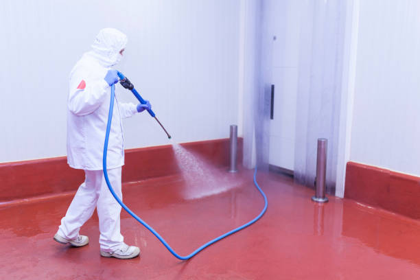 Best Sidewalk and Walkway Cleaning  in Ben Bolt, TX