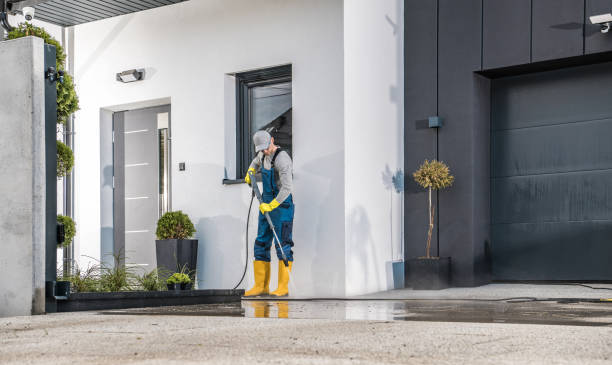 Best Animal Enclosure Cleaning  in Ben Bolt, TX